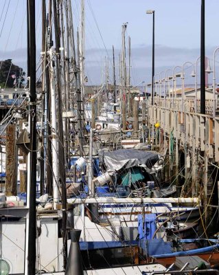 All Things Boats...Dockside