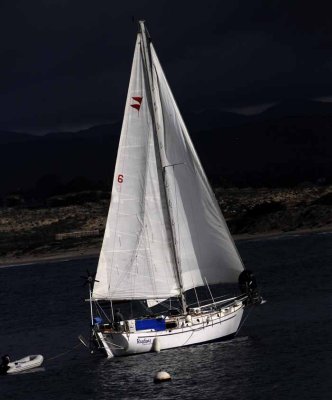 All Things Boats...Dockside