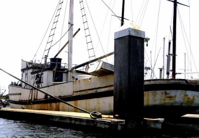 All Things Boats...Dockside