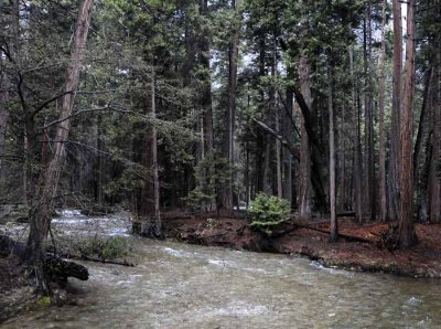 Yosemite in April