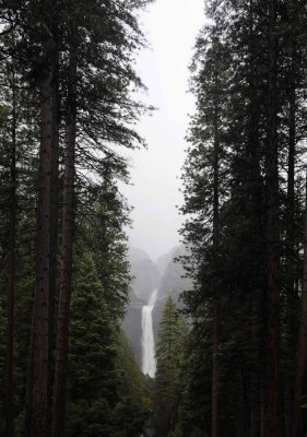 Yosemite in April