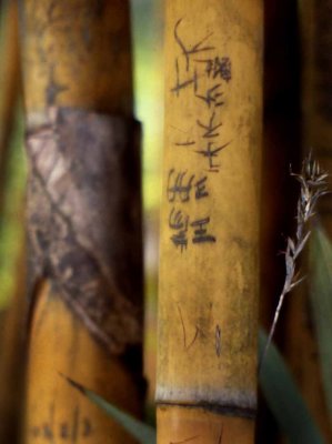 Bamboo Grafitti - Singapore