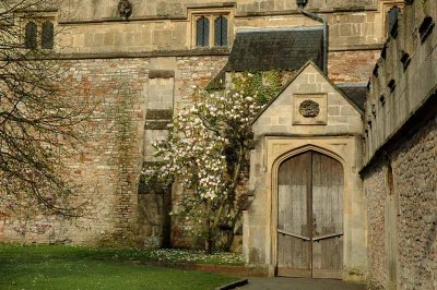 Cathedral Door - England