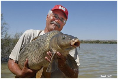 Belle carpe de l'Ebro