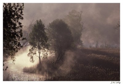 Brume du matin