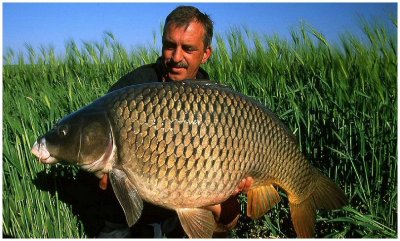 Philippe Lagabbe carpe de 30 KG