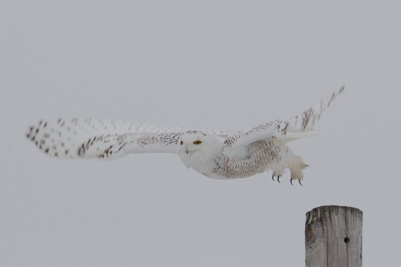 AAG_6193nx.jpg