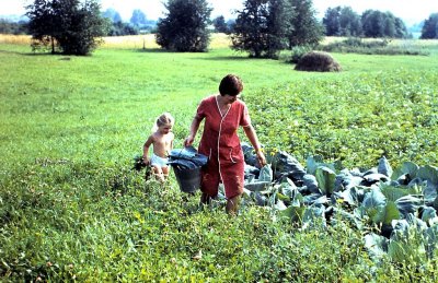 1977-25.jpg