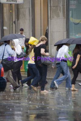 IMGP0645 YD Square Singing in the Rain.jpg