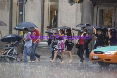 IMGP0647 YD Square Singing in the Rain.jpg