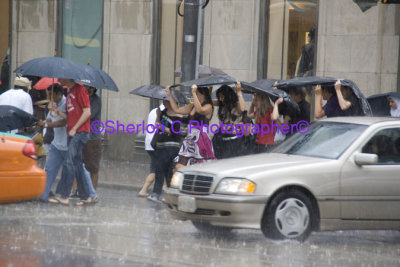 IMGP0648 YD Square Singing in the Rain.jpg