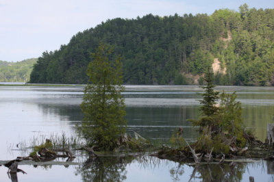 Au Sable River 4263
