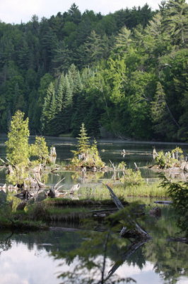 Au Sable River 4269