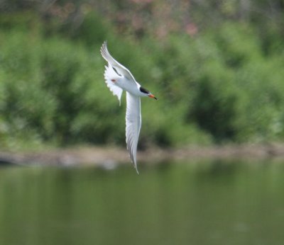 IMG_2228.JPG