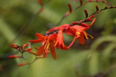 IMG_4589.JPG