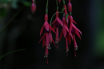 IMG_4671.JPG