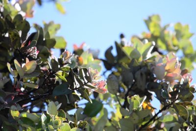 IMG_4714.JPG