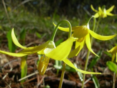 Dscn8709.jpg