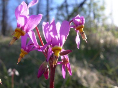 Dscn8750.jpg
