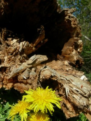 DSCN8795.jpg