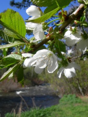 DSCN8802.jpg