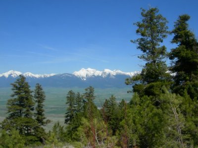 DSCN8838.jpg