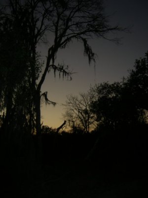DSCN8209.jpg