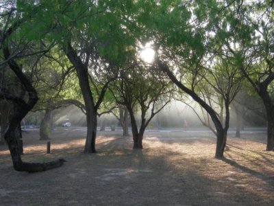 DSCN8220.jpg