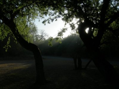 DSCN8223.jpg
