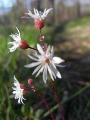 DSCN8763.JPG