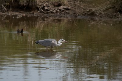 on the hunt again