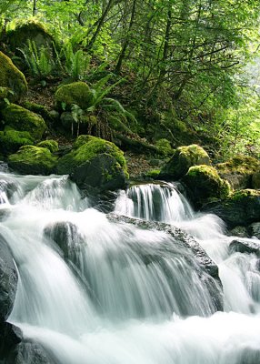 Mossy Rocks, Falls