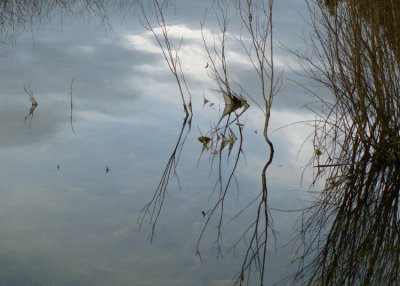 Cloudlight on Pond