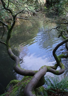 Kubota Pond