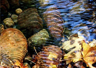 Fall Creek 3