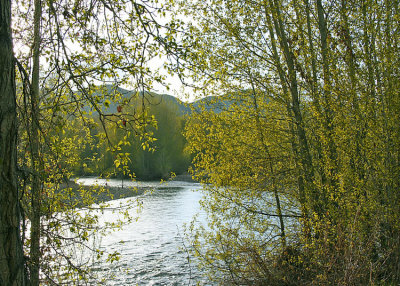 Big Wood Spring Evening