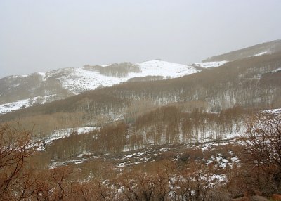 Utah Mountains in May