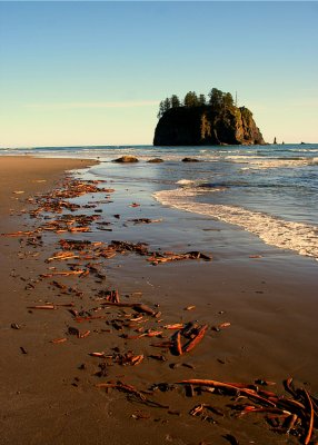 North Olympic Beaches