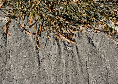 Seaweed/Sand Pattern