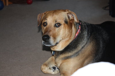 Casey