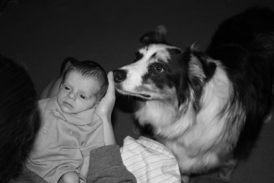 Aiden & Max