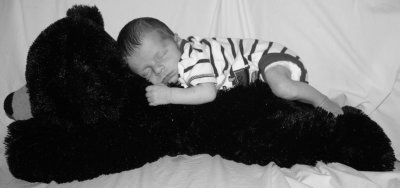 Aiden & Bear