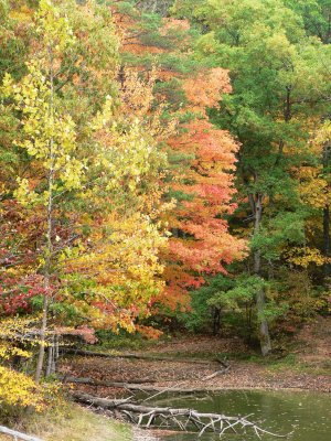 Brown County State Park