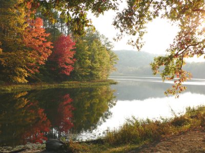 lake at Yellowwood State Park