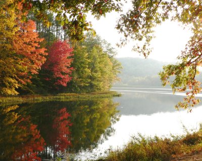 Yellowwood State Park