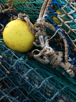 Fishing net  yellow float.jpg