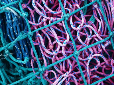 Pink blue netting.jpg