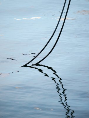Ropes in water.jpg