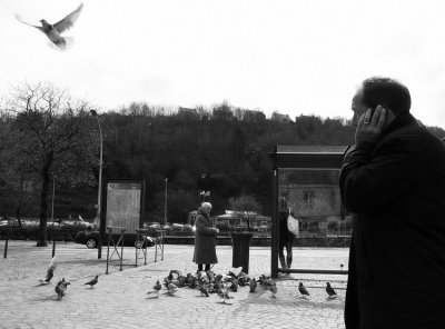 Man pigeon 1.jpg