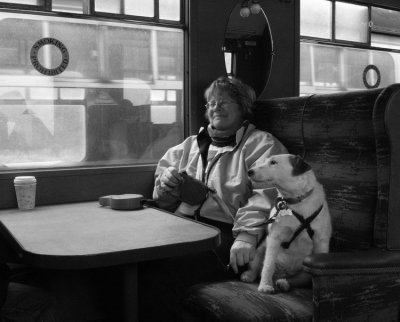 Dog on train 3.jpg